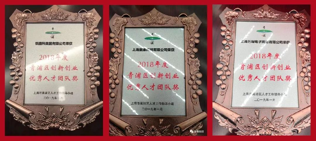恭喜“锐嘉科实业”获荣2018年度青浦区优秀平台企业奖