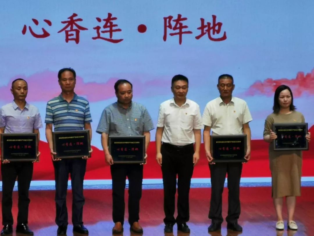 【荣誉】移动智地党委书记荣获香花桥街道颁发的“心相连·先锋”称号